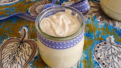 yogur fermentado con rejuvelac recetas veganas